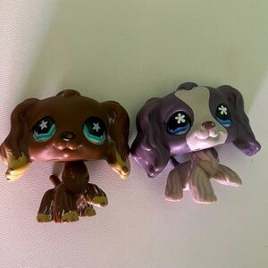 Littlest Pet Shop  cockerspaniel close up